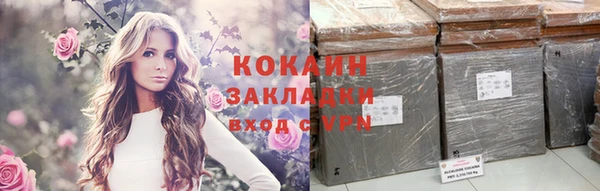 сатива Алзамай