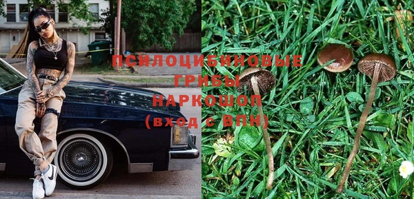 спиды Алексин