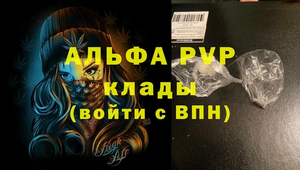 сатива Алзамай