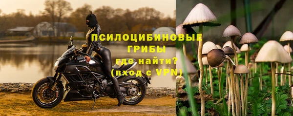 сатива Алзамай