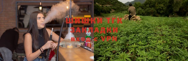 спиды Алексин
