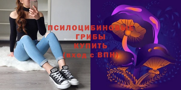 спиды Алексин