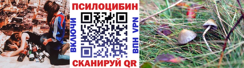 даркнет сайт  Черноголовка  Псилоцибиновые грибы прущие грибы 